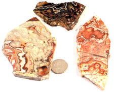 3 Cool Crazy Lace Agates Great Lapidary Total 9.6 Ounces 1st Picture Wet #3435