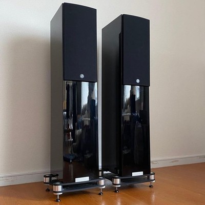 [HIGH-END MODEL] Fyne Audio F501SP Speakers