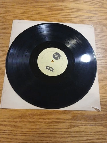 Bob Dylan LP RARE Record Album