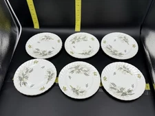 🌿 Adderley “Lyncroft” Fine Bone China England – Set of 6 Bread & Butter Plates