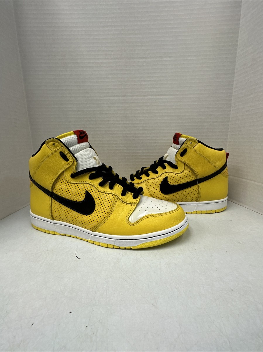 Nike Dunk High Premium SB Wet Floor 2009 Size Used 313171-701