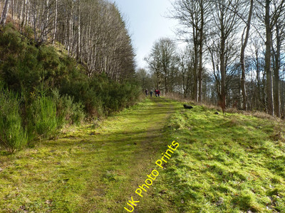 Foto 6x4 Moncreiffe Hill Fußweg Brücke von Earn Blick nach Osten entlang der c2016