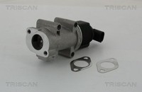 Triscan Agr-Ventil 8813 10005 FüR Alfa Romeo Fiat Lancia