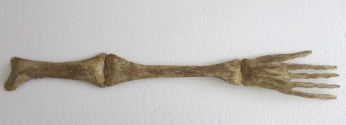 ANTIQUE HUMAN IRON HAND BONES HAND MADE