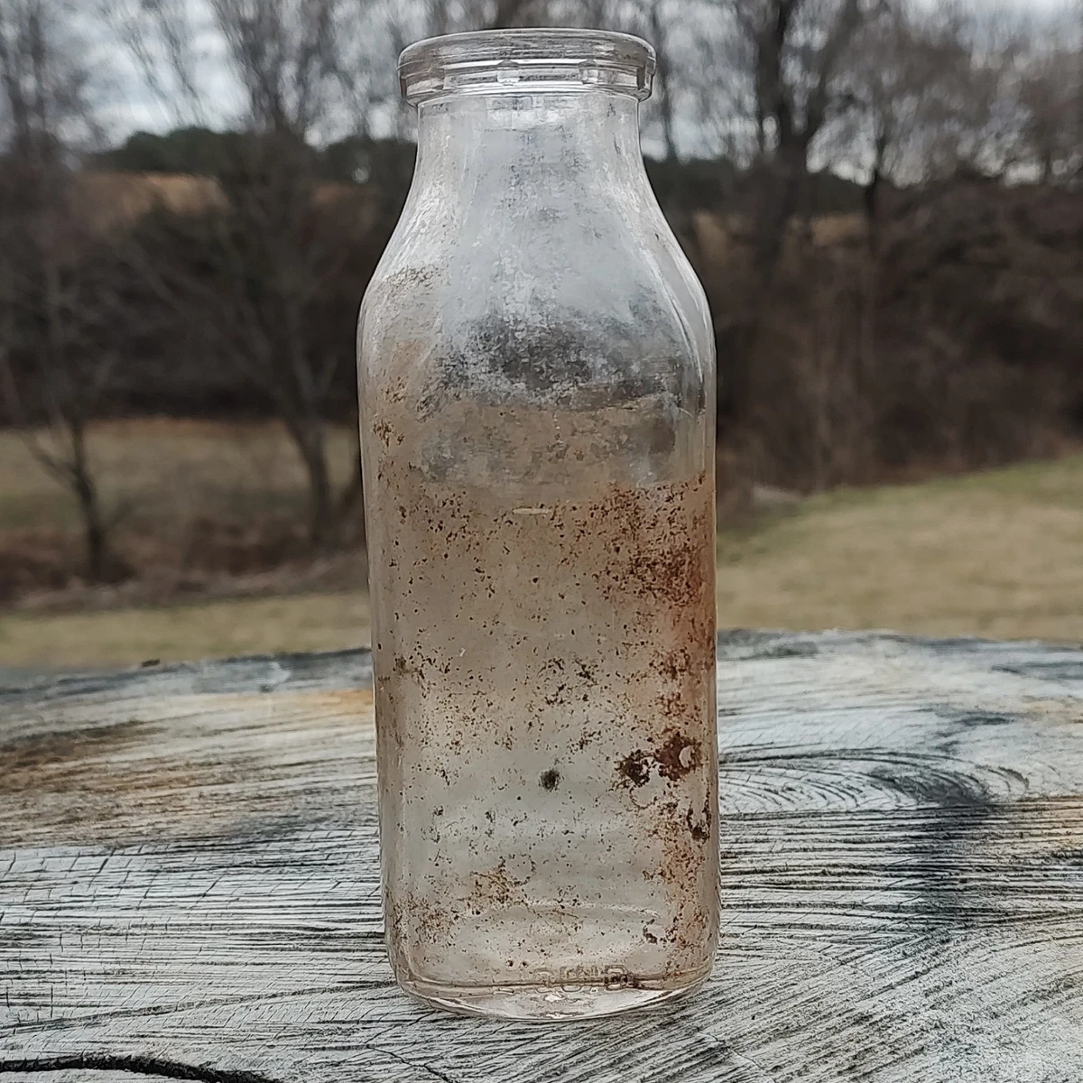 Collectible Milk Bottles (1900-Now) | eBay