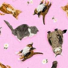 Feline Drive Fabric MEOW MEADOW Cats Pink Andover - Fat Quarter 18"x 22" FQ