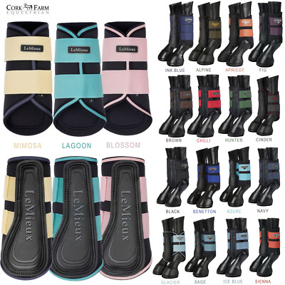LeMieux Grafter Bürstenstiefel Schulbildung Dressur Hacking Sommer 2024