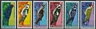 BULGARIA 1978 FAUNA Animals. Birds WOODPECKERS - MNH