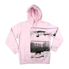 Calvin Klein Jeans Andy Warhol Aspen Landscape Pink Hoodie Sweatshirt Mens M Raf