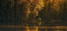 Landscape photography nature lake forest fall trees Custom Gaming Mat Desk