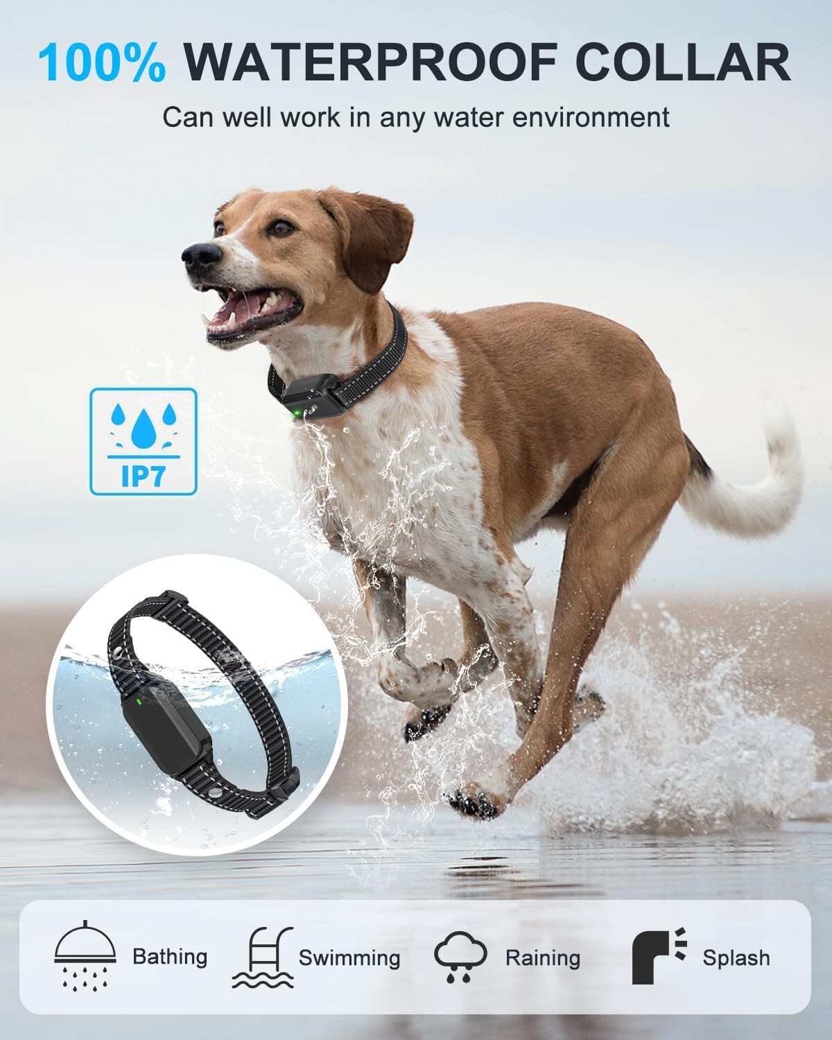 Dog Shock Collar With Remote Dog Shock Collar Training Remote