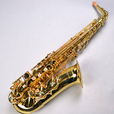 NEW YANAGISAWA A-WO1 Alto Saxophone Eb Brass W/Case Free Shipping