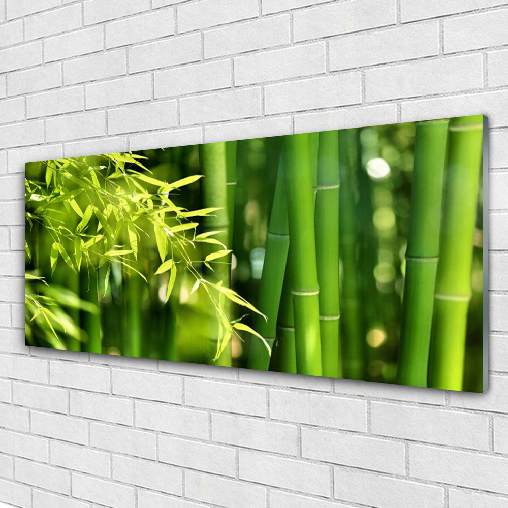 Impression sur verre acrylique de qualité premium motif bambou 125x50
