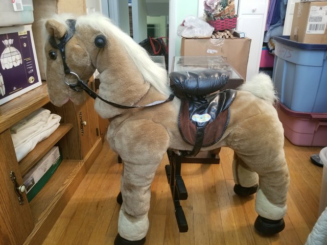 giddy up and go pony