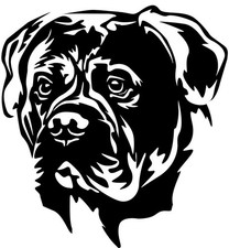 BULLMASTIFF Aufkleber - Autoaufkleber-sticker - Bullmastiff Kopf #72
