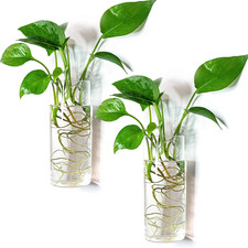 Glass Tube Wall Planter Propagation Station - 2 Pack Terrarium Cylinder Wall Vas