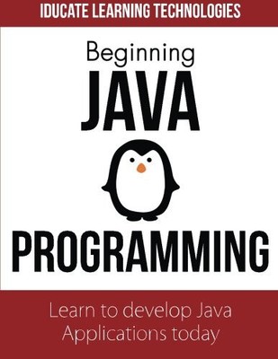 BEGINNING JAVA PROGRAMMING By Iducate Learning Technologies **BRAND NEW**