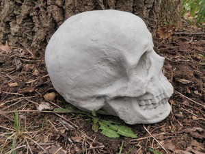 6" Tall Cement Skull Garden Concrete Statue Cranium Halloween Spooky
