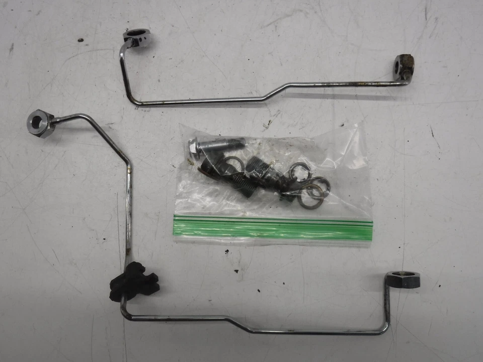 99-09 YAMAHA V STAR 1100 OEM MOTOR CILINDRO ACEITE MANGUERAS MANGUERAS MANGUERAS Foto 3 de 4