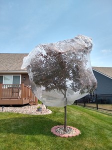 10 x 10 Fruit Tree Garden Netting with Zipper and Drawstring Bottom