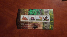 Canada 2013 #2602 4.92$ Baby Wildlife Definitive Souvenir Sheet