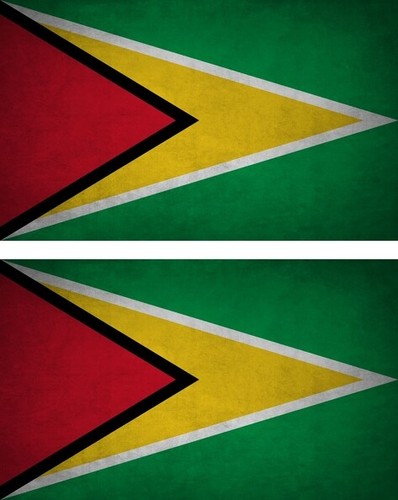 Toppa con bandiera della Guyana