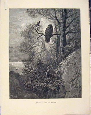 Original alter antiker Druck Aesop Fable Ccxxi Adler Elster 1868 Geschichte Kunst 19.