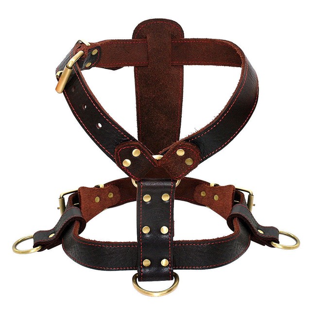 Top Genuine Leather Pet Dog Harnesses Heavy Duty Pet Vest for Medium