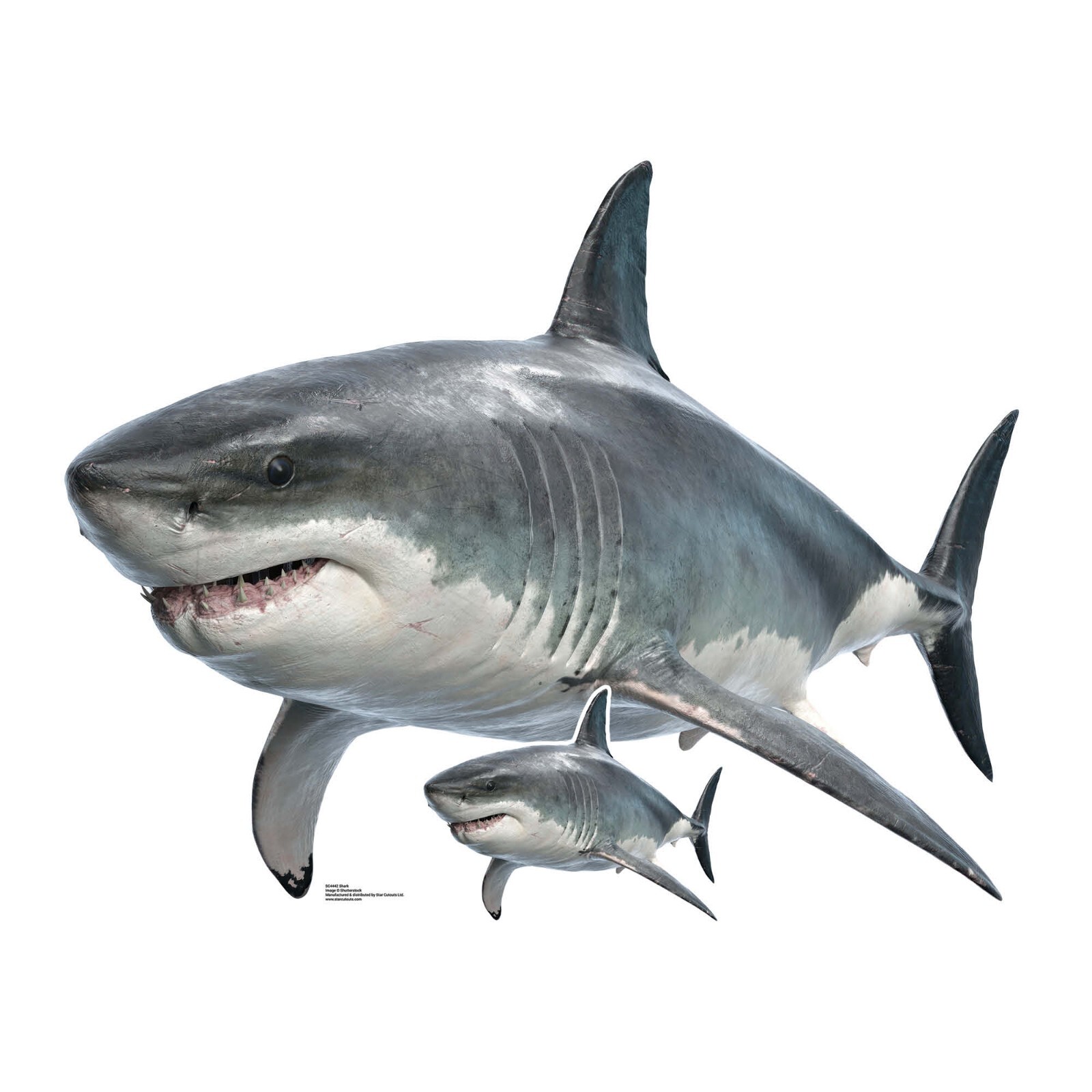 Great White Shark Cardboard Cutout Ocean Themed Standup with Free Mini Standee