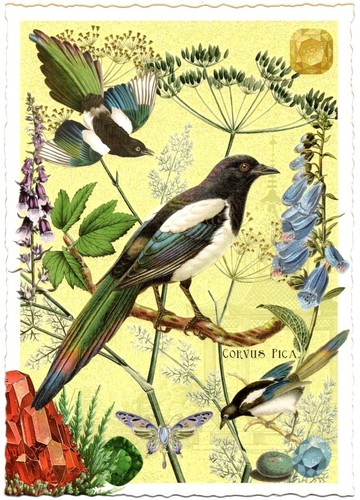 Edition Tausendschön | Postkarte A6 | Flora & Fauna | Motiv wählbar - Bild 73 von 78