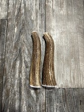 2 Pack Large Elk Antler Dog Chew, Premium Elk Antler From Montana