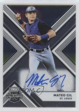 Elite Extra Chrome 2018 /99 Auto