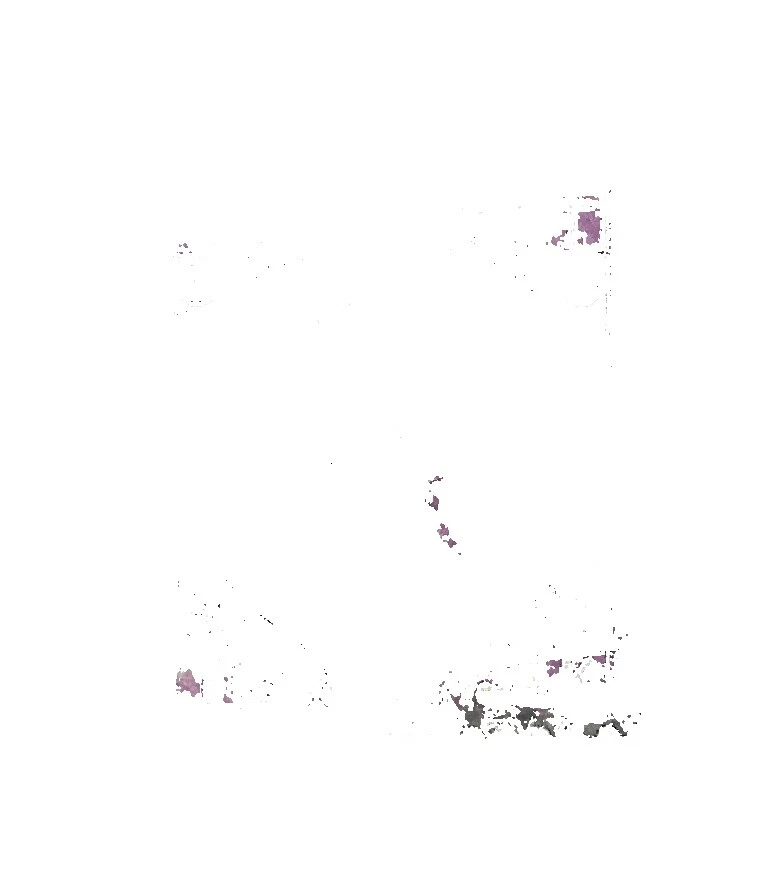 Cats Mint Hinged British Stamps