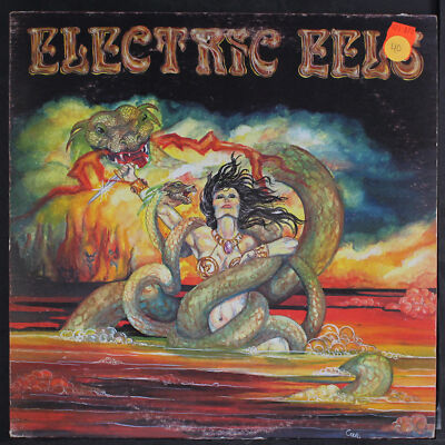 Elektrische Aale: Elektrische Aale Gaffenburg 12'' LP 33 U/min