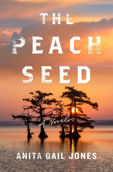 The Peach Seed | Anita Gail Jones | Englisch | Buch | Gebunden | 2023-image
