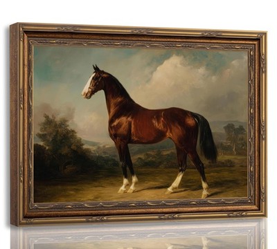 Framed Vintage Horse Wall Art, Antique Equestrian Canvas Painting with Retro ...