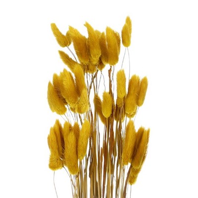 120pcs Natural Bunny Tail Dried Flowers 24'' Mini Pampas Grass, Yellow