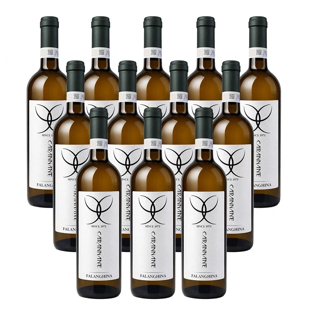 falanghina 