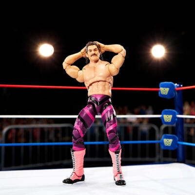 WWE Ultimate Creations Coliseum Ravishing Rick Rude Wrestling
