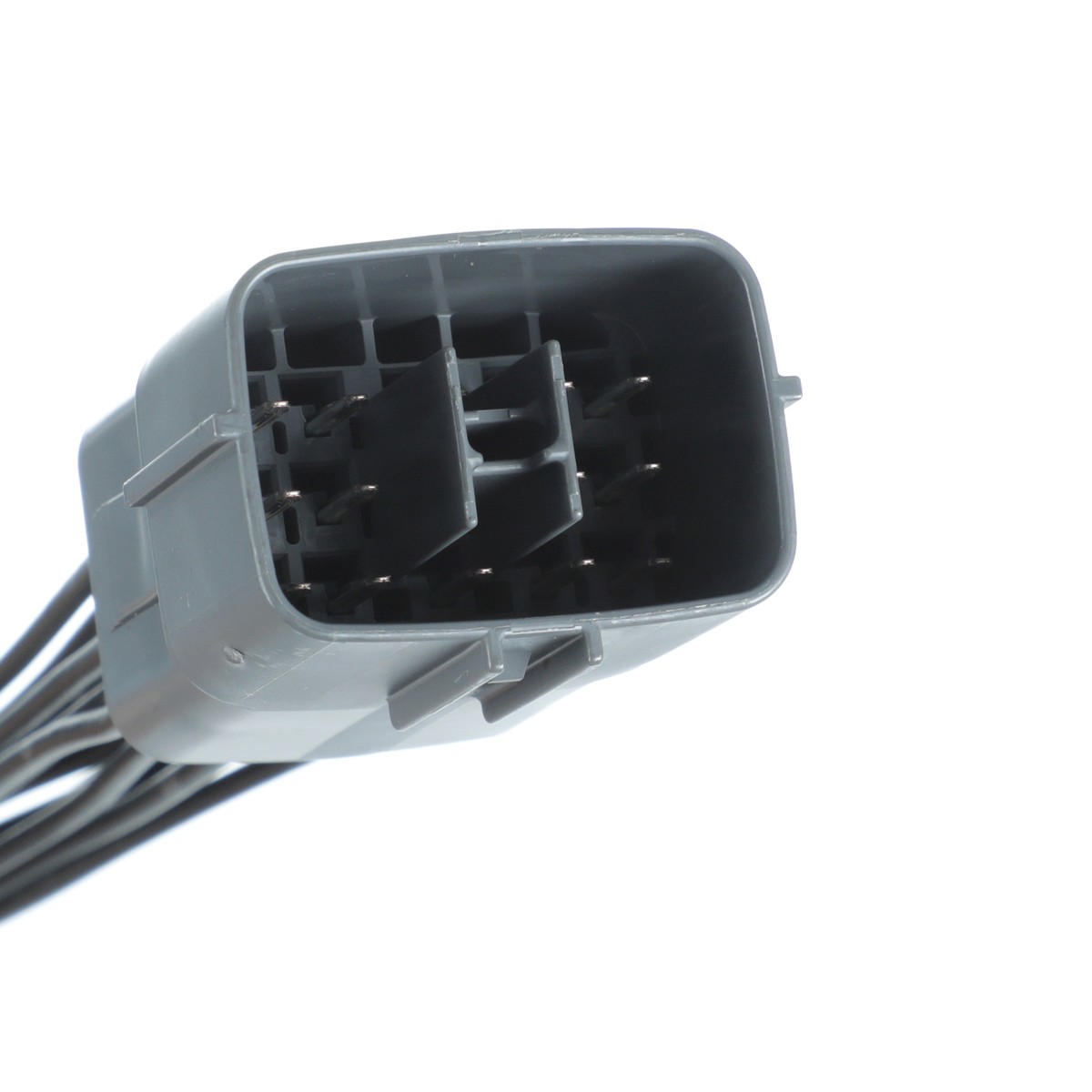 三代　MAIONE  ライン 三代 MAIONE ライン