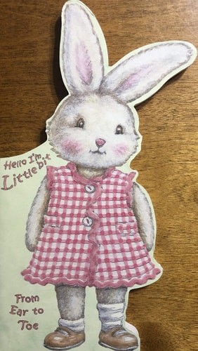 Hello I'm Little Bit : From Ear to Toe by Suzanne Knutson, Good Book