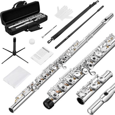 New Silver Plated 16 Keys C Flute Open Hole Offset G Split E w/Stand & Full Kit