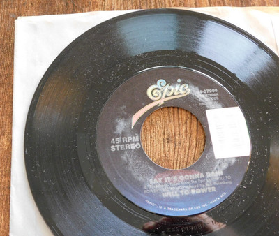 WILL TO POWER SAY IT'S GONNA RAIN / INSTRUMENTAL 45 RPM RECORD 069
