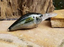 CUSTOM WRAPPED AND PAINTED 1.5 DEEP DIVER CRANKBAITS
