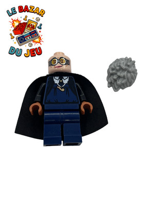Lego Harry Potter HP541 Madam Rolanda Hooch Minifigur