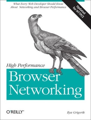 Hochleistungs-Browser-Netzwerke: Was jeder Webentwickler wissen sollte