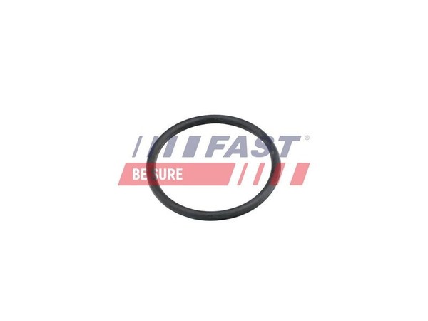 Fast Dichtung, KüHlmittelrohrleitung FT49920-image