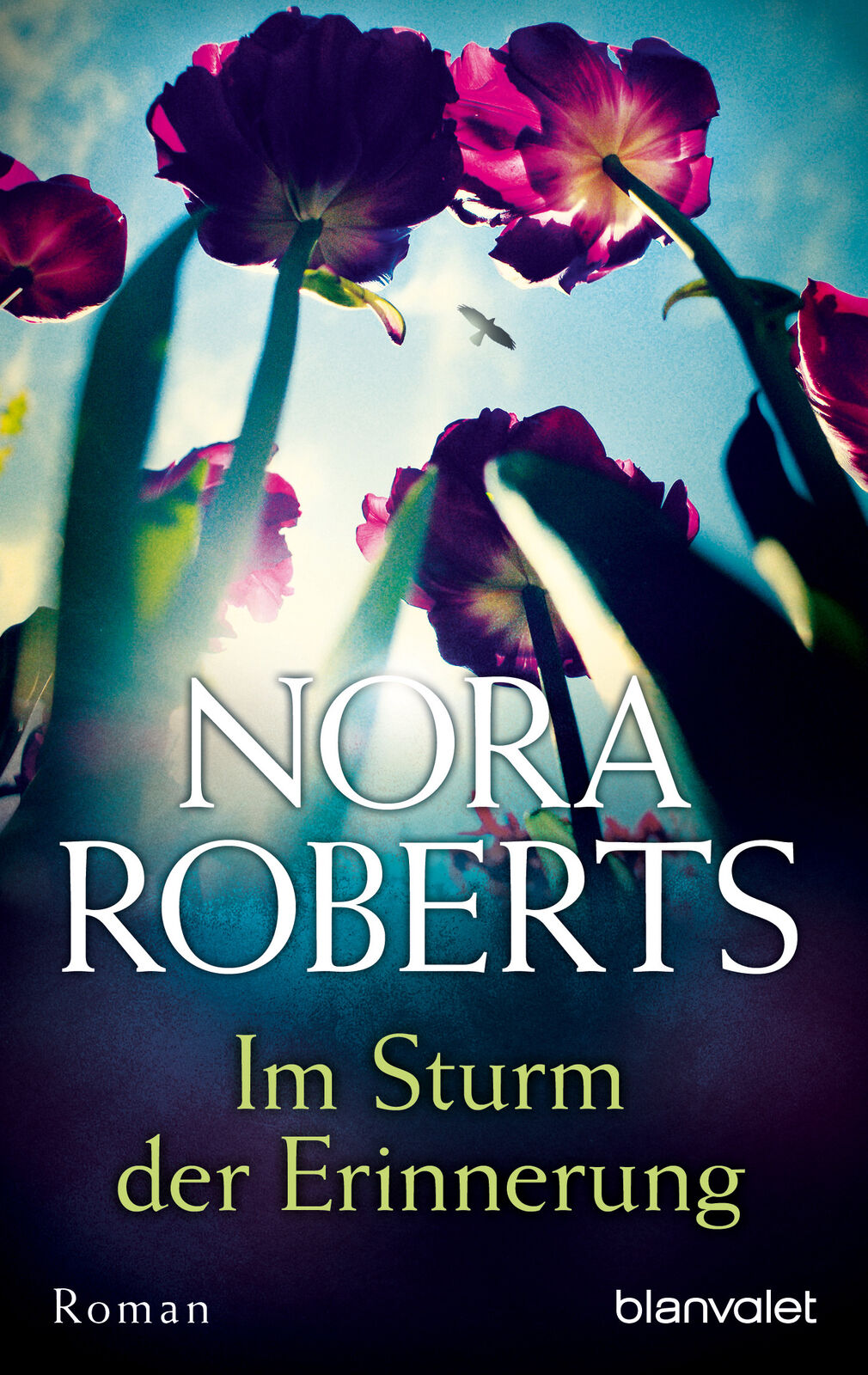 Thumbnail - Nora Roberts; Margarethe Van Pèe / Sturm Der Erinnerung