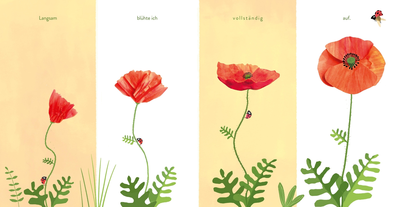Thumbnail - Kleine Blume, Große Welt | Guido Van Genechten | Buch | 32 S. |