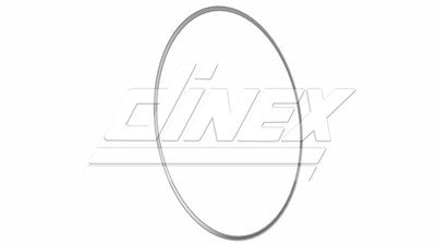 DINEX 8AL005 Dichtung, Abgasrohr für VOLVO
